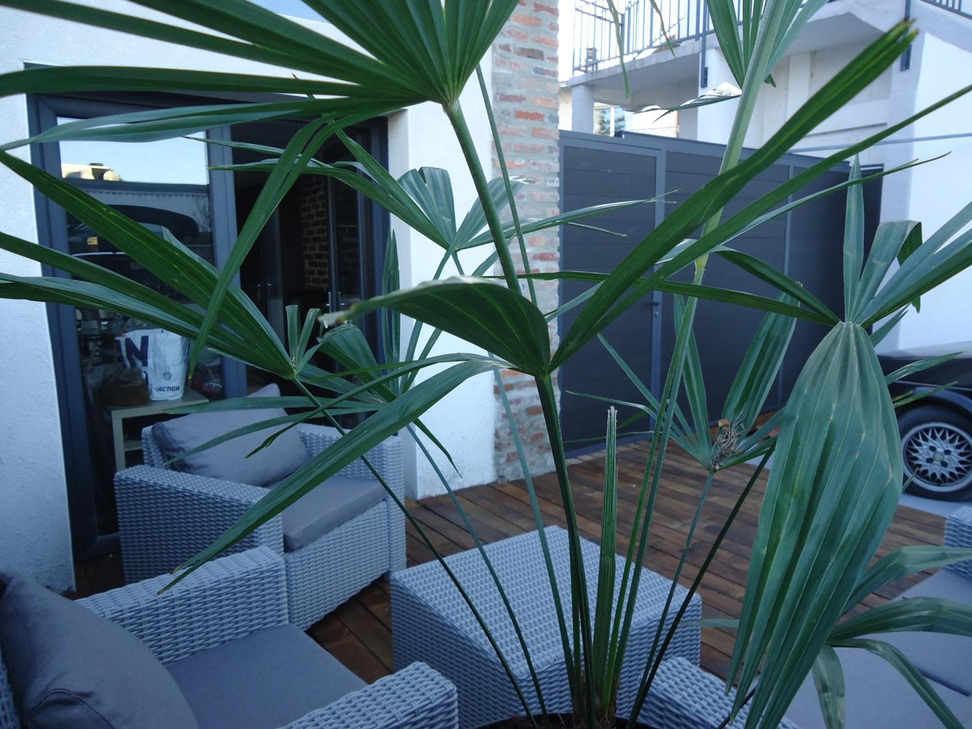 Les Spas De La Chartreuse Tarbes Kamer foto